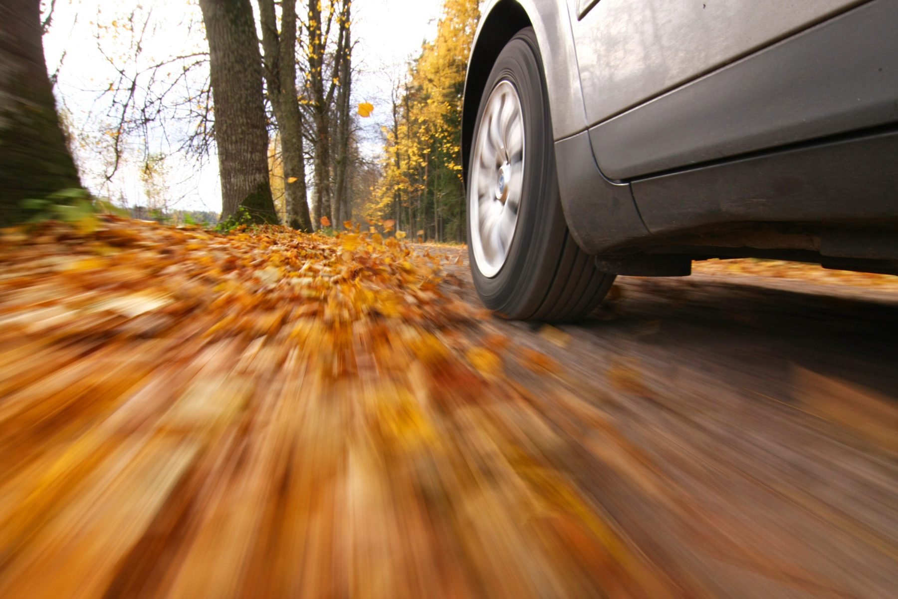 Fall Season Driving Hazards